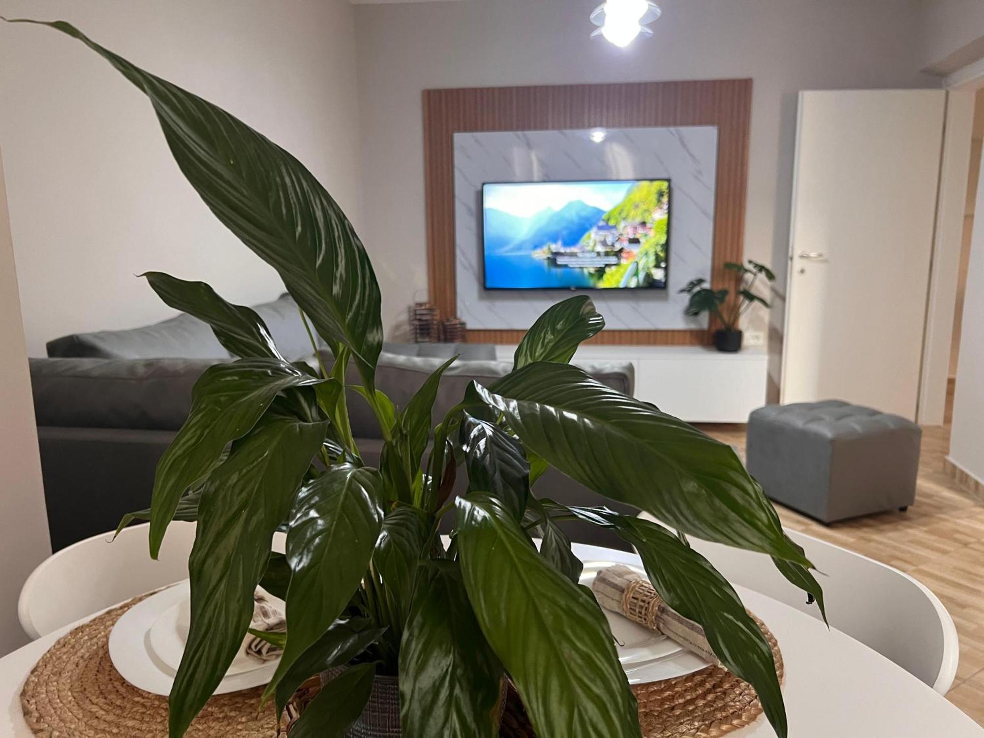 New Modern Tirana Apartment ภายนอก รูปภาพ